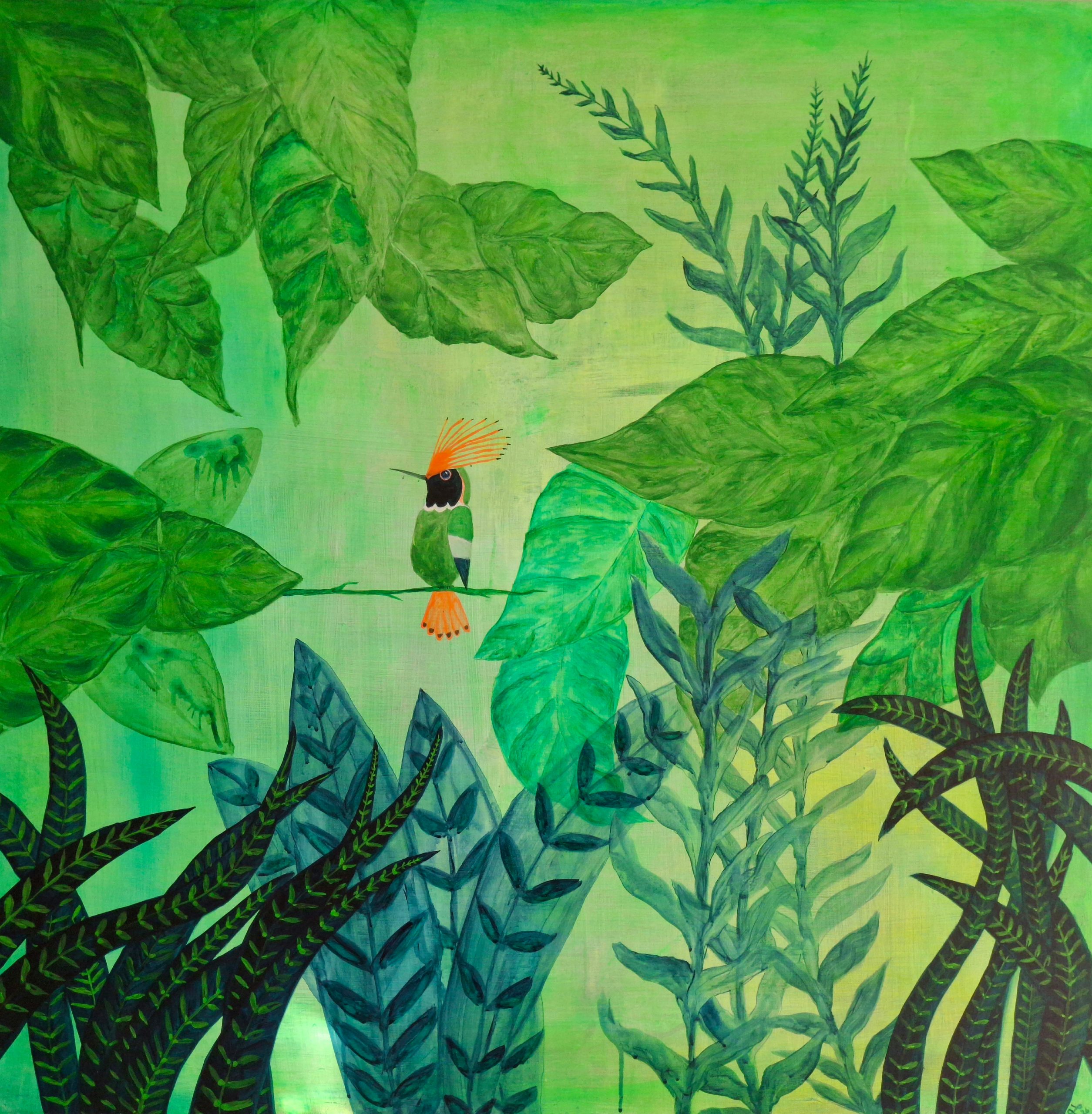 Tambopata